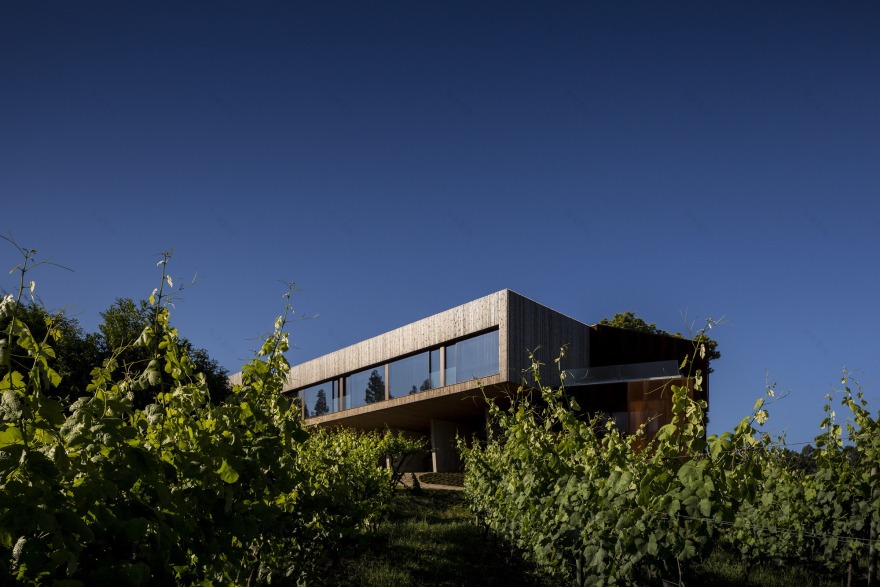 葡萄牙葡萄酒体验酒店·MONVERDE 乡村酒店-22