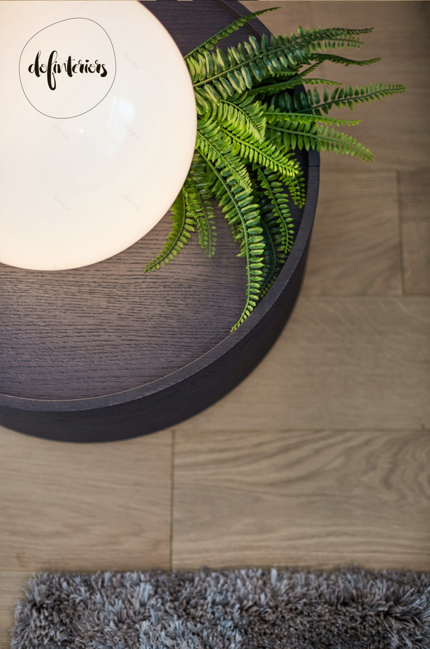 罗马尼亚 Dinamic City 别墅的自然优雅设计-5