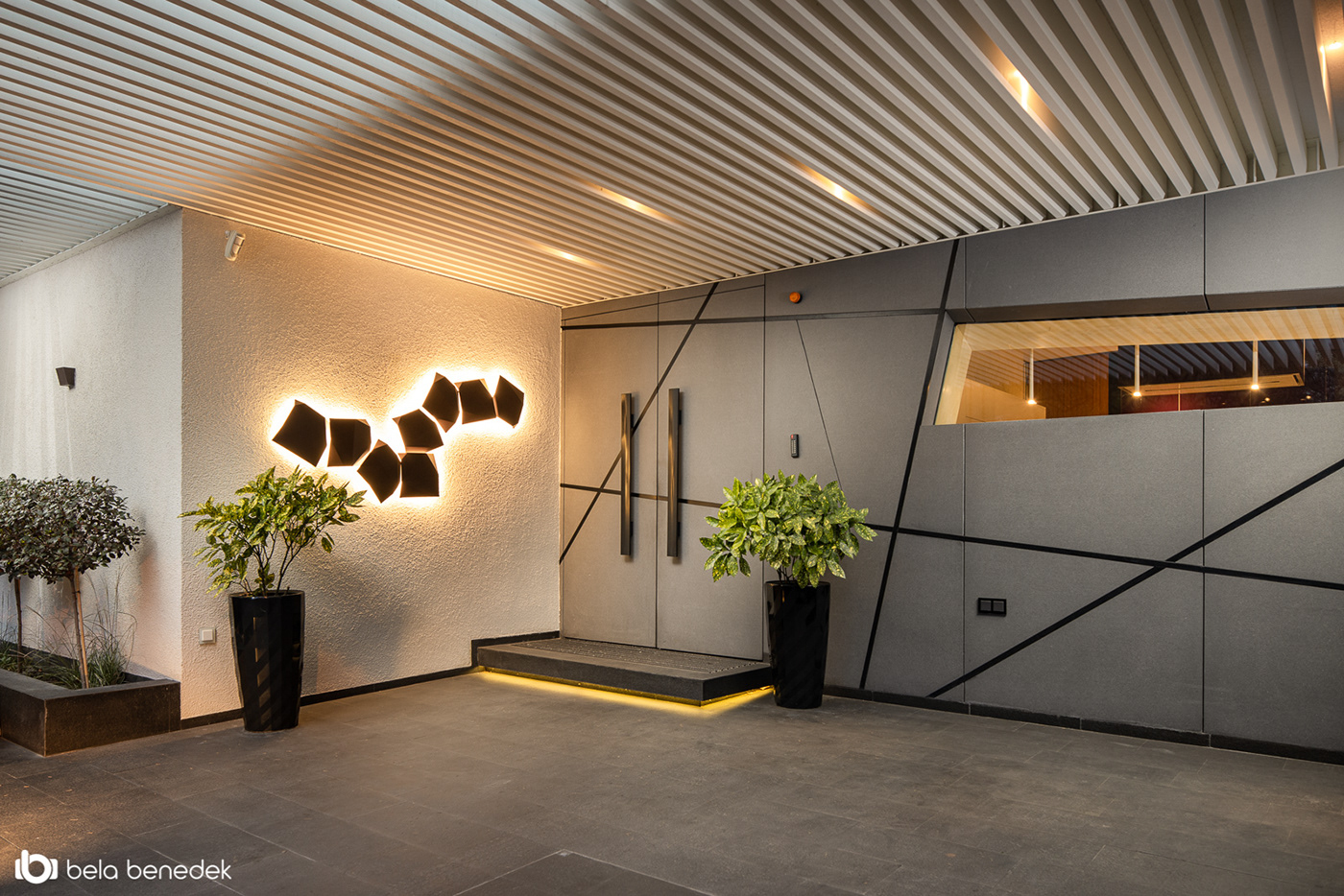 Stefan Vlad丨别墅建筑丨House X-2