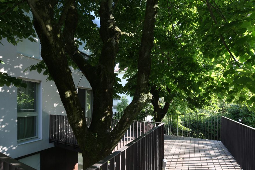 五十年代住宅的现代复兴-5