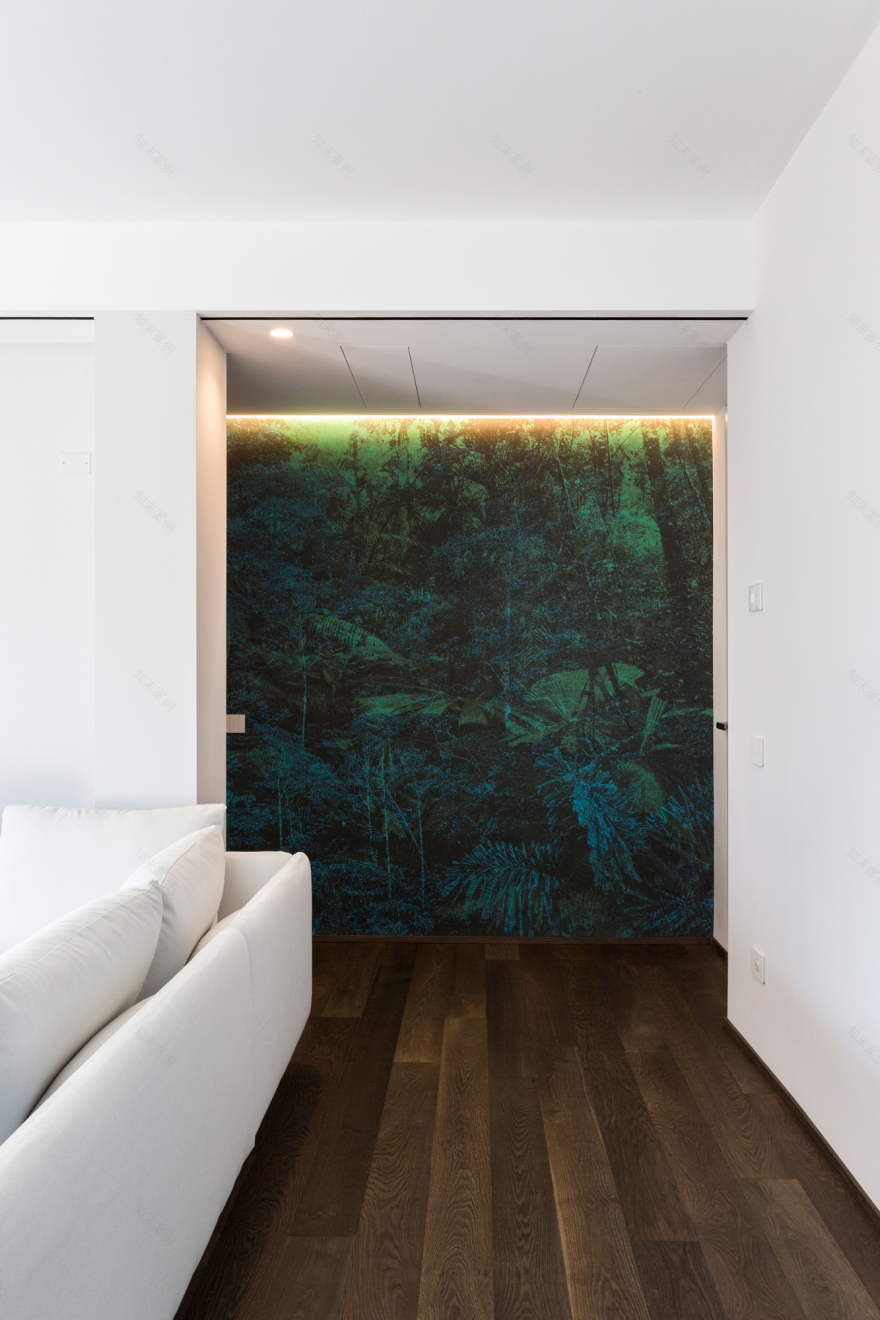 山景公寓的惊艳改造-9