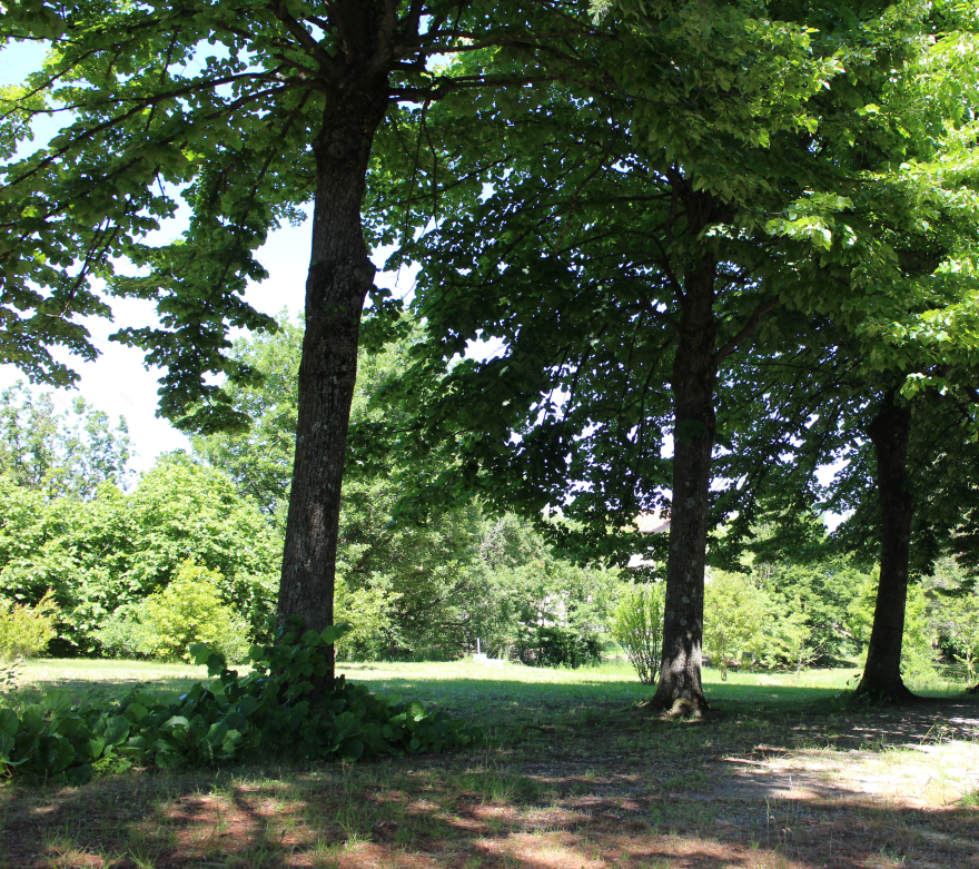 古宅新生 | 600 年历史农舍的现代改造-14