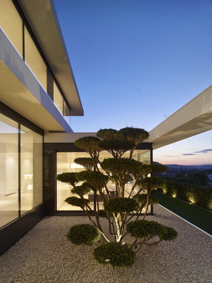 弗兰肯别墅的简约美学与精致景观-8