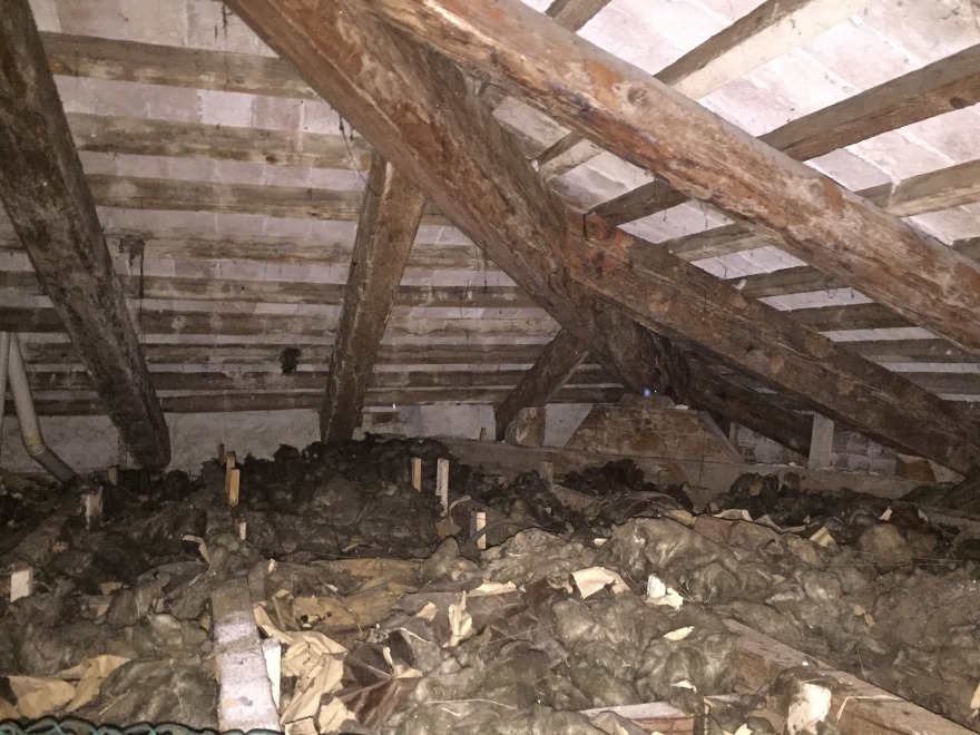 历史别墅的现代重生-3