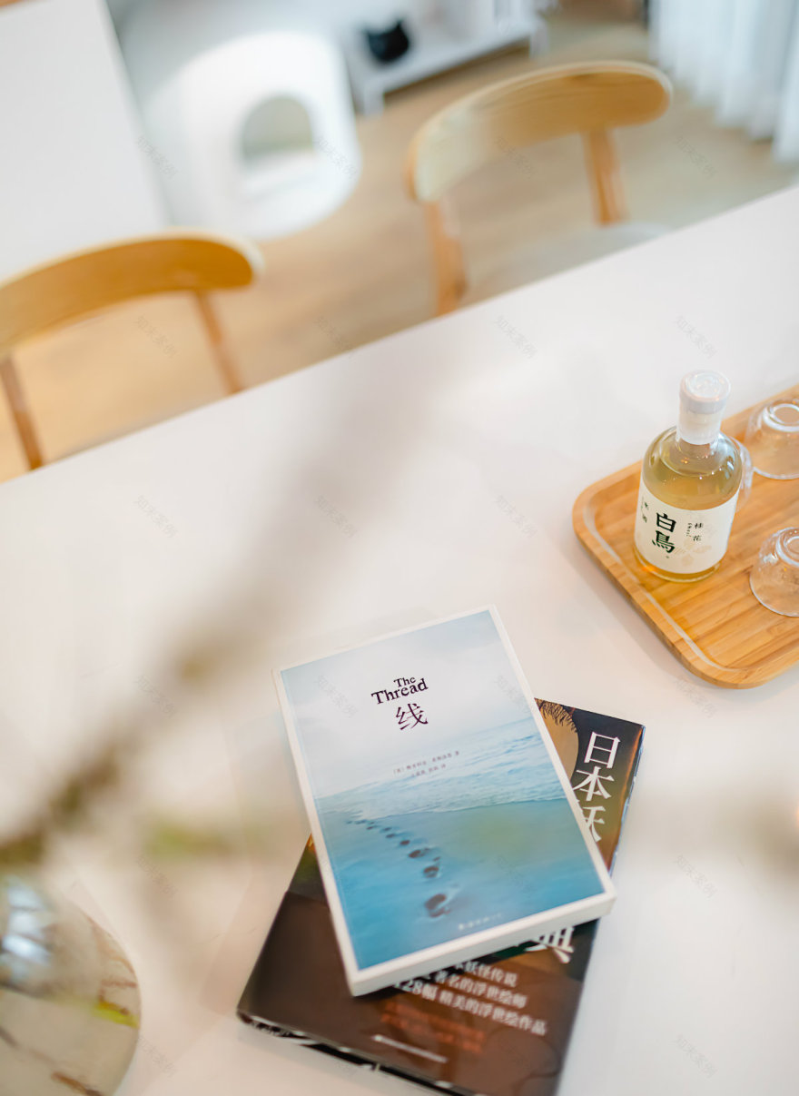 日式风格的两人两猫,loft公寓设计-37