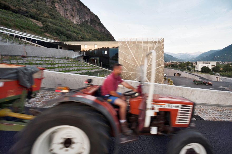 博尔扎诺新酒庄丨意大利丨Dell‘AgnoloKelderer 工作室-19