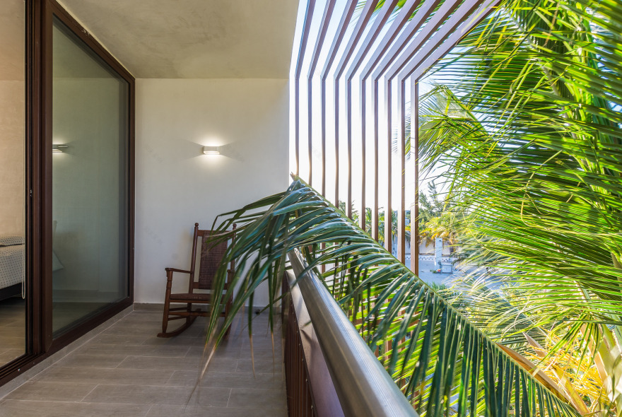 墨西哥海滨别墅 · 绿色与空间的完美融合-7