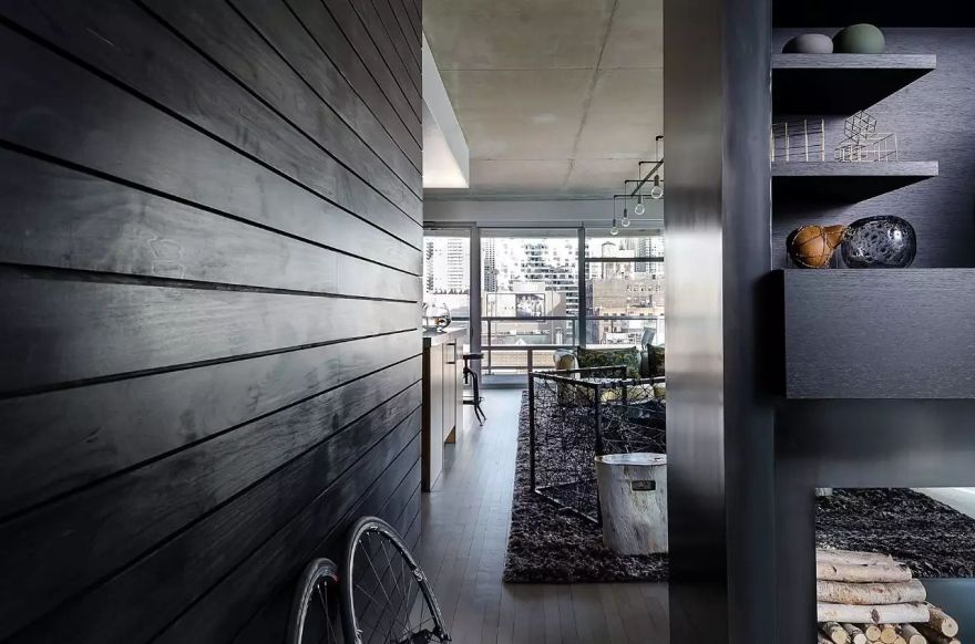 高级黑的艺术 | 芝加哥设计工作室的精致家居-77