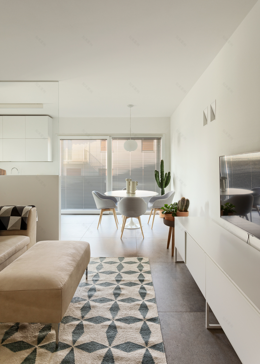 极简白色公寓,自然光线与设计完美融合-6