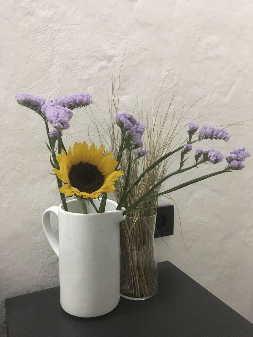 俄罗斯风格公寓设计-13