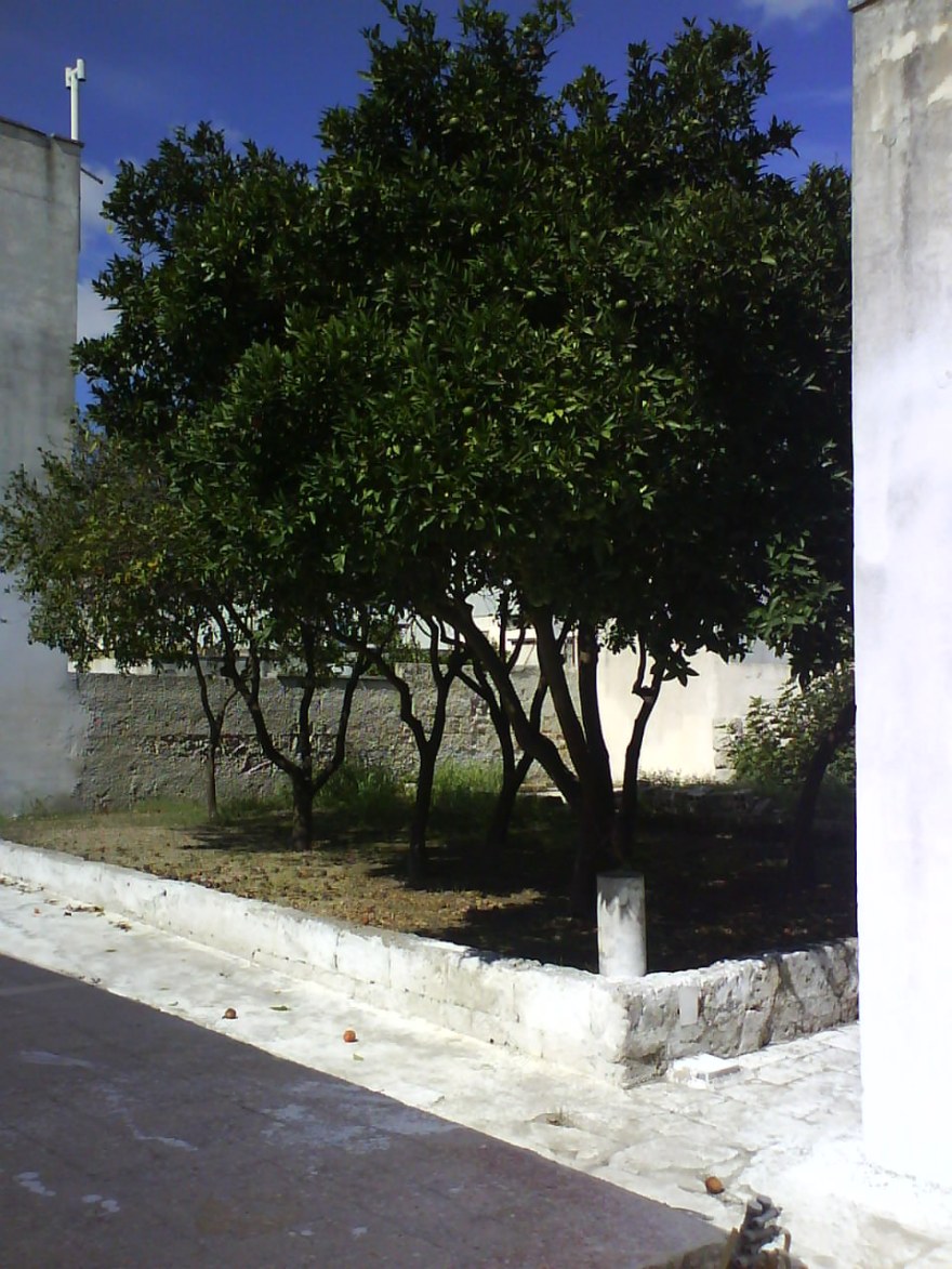 意大利"Saverio Vita"养老院改造记-9