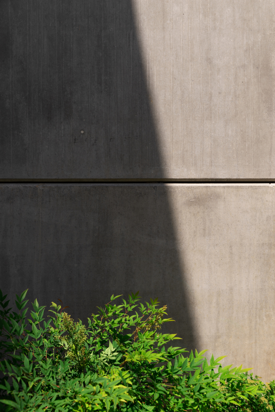 RGV 别墅扩建设计丨DANK-20