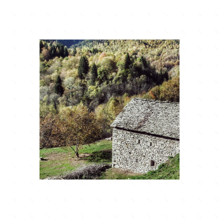 乡村建筑的现代复兴-10