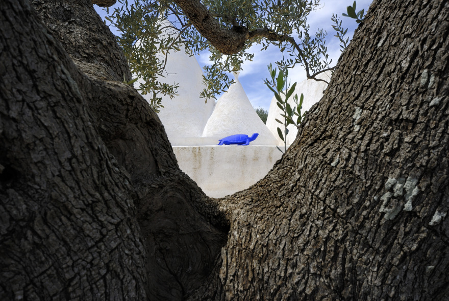 意大利乡村别墅,玻璃立方体与传统土屋的完美融合-29