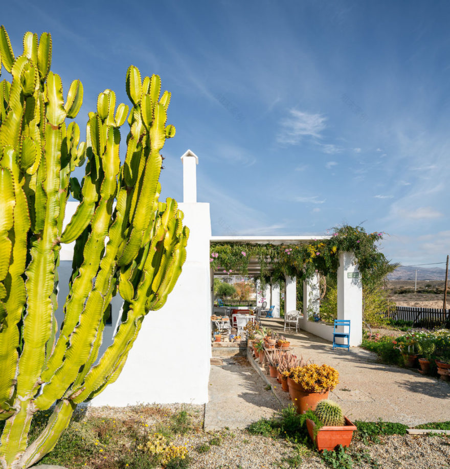 废墟中的生机 | 西班牙 CO 别墅-3