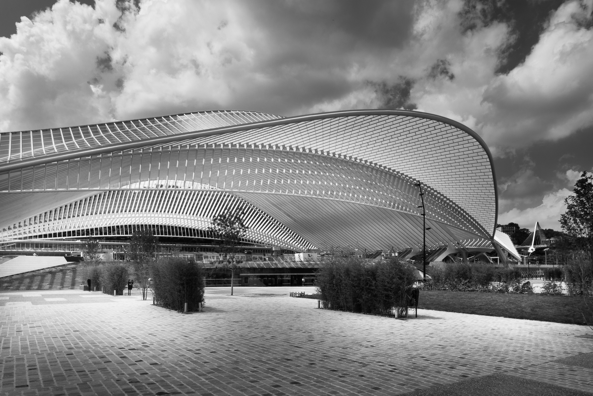 LIÈGE-GUILLEMINS STATION-1