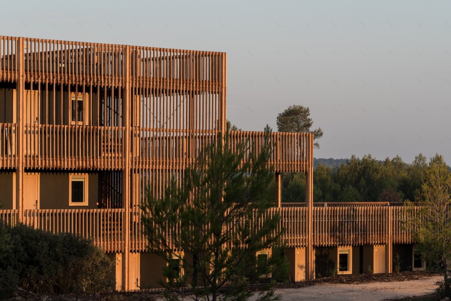 森林中的创新领土——theCamp 高科技园区-10