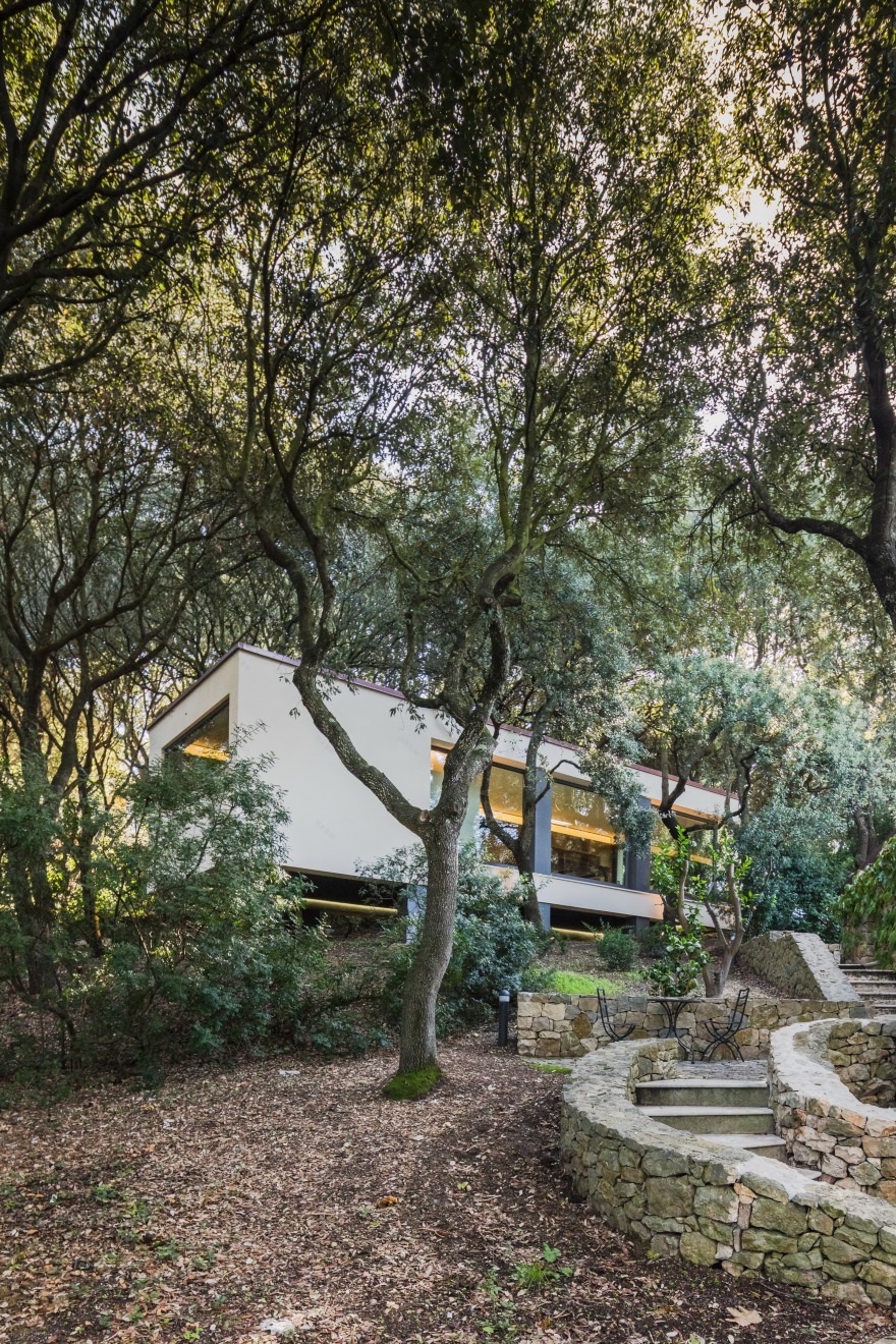 悬浮森林中的别墅-13