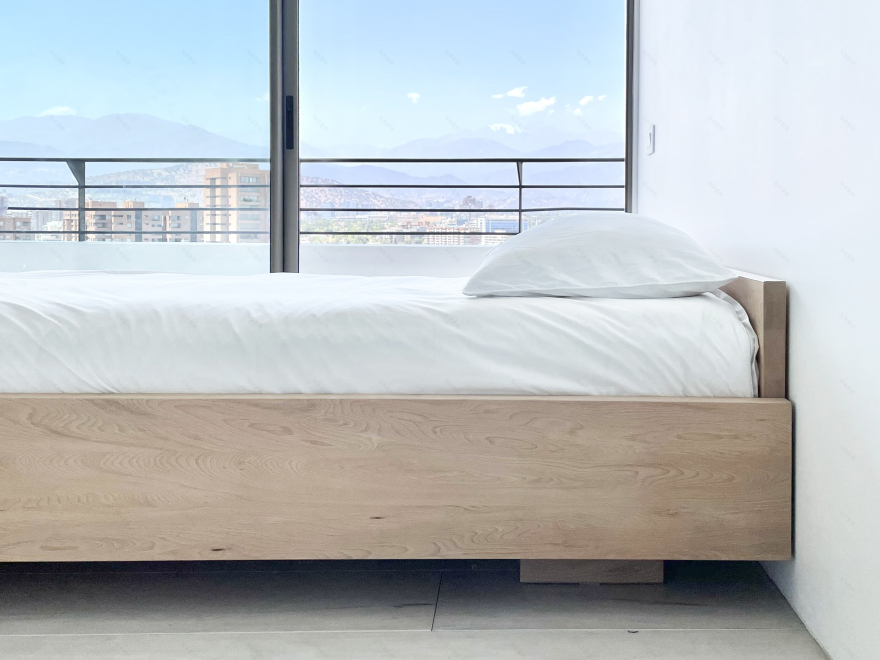 智利圣地亚哥 195 号公寓-4