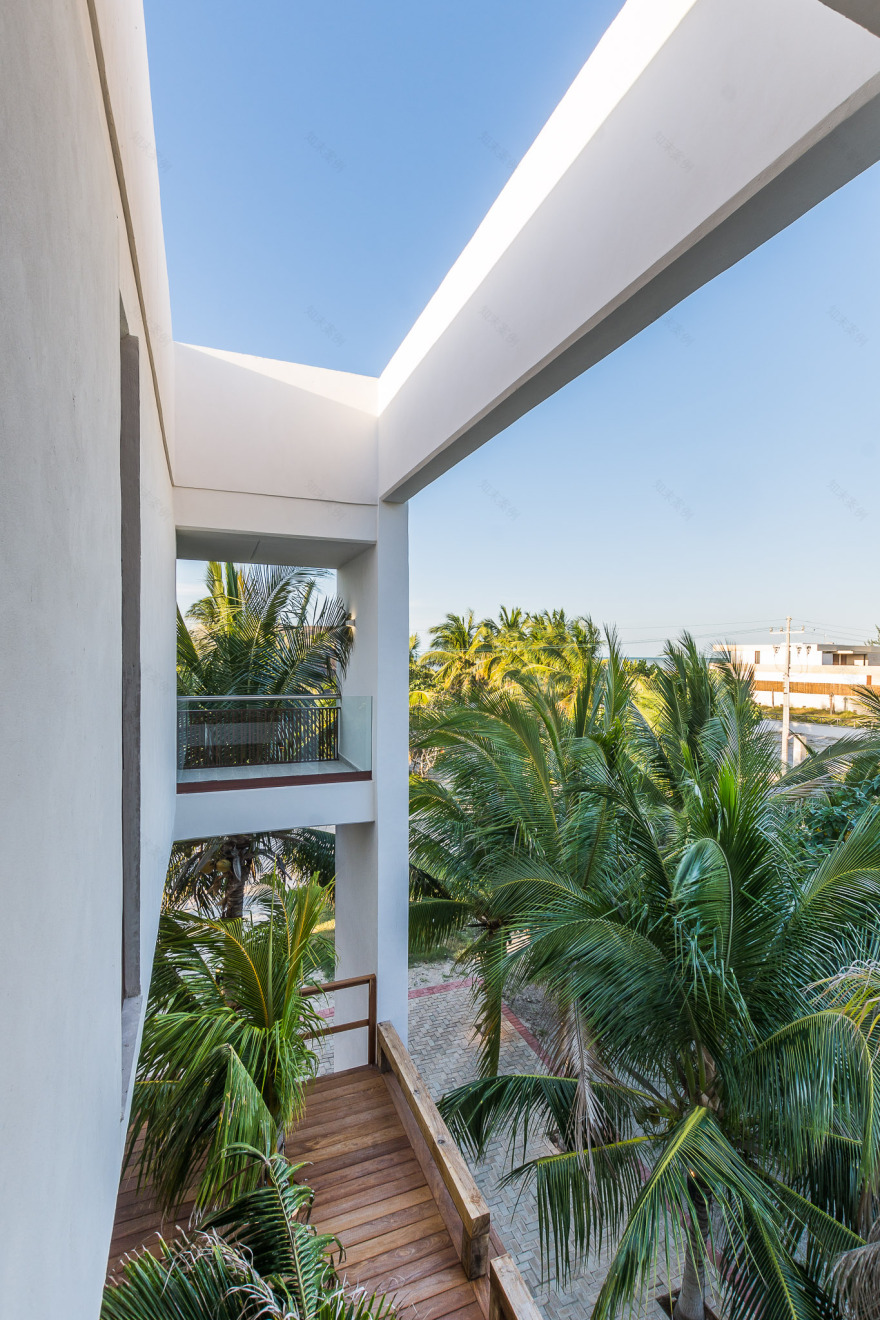 墨西哥海滨别墅 · 绿色与空间的完美融合-9