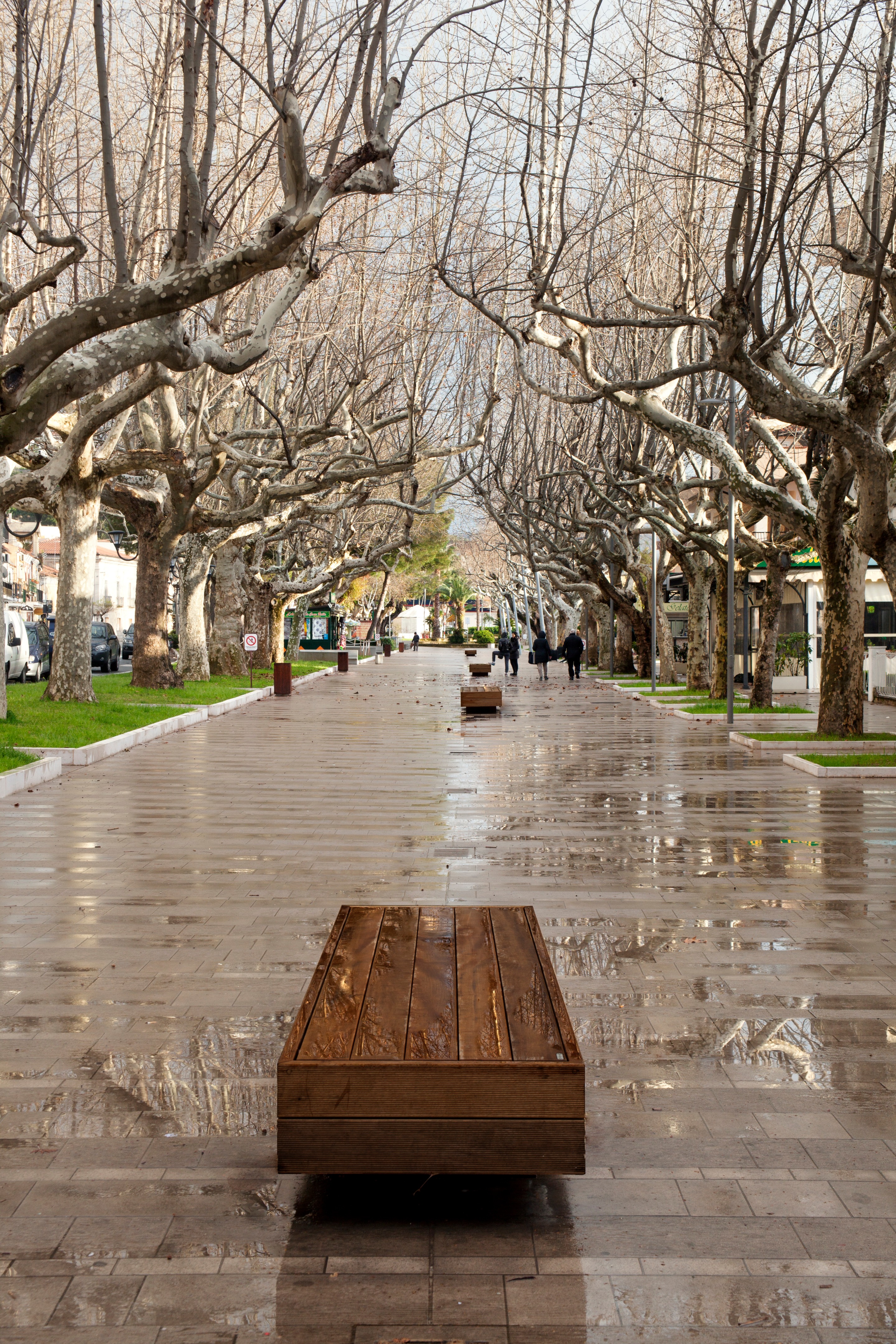 Viale della Libertà a Praia a Mare (CS)-3