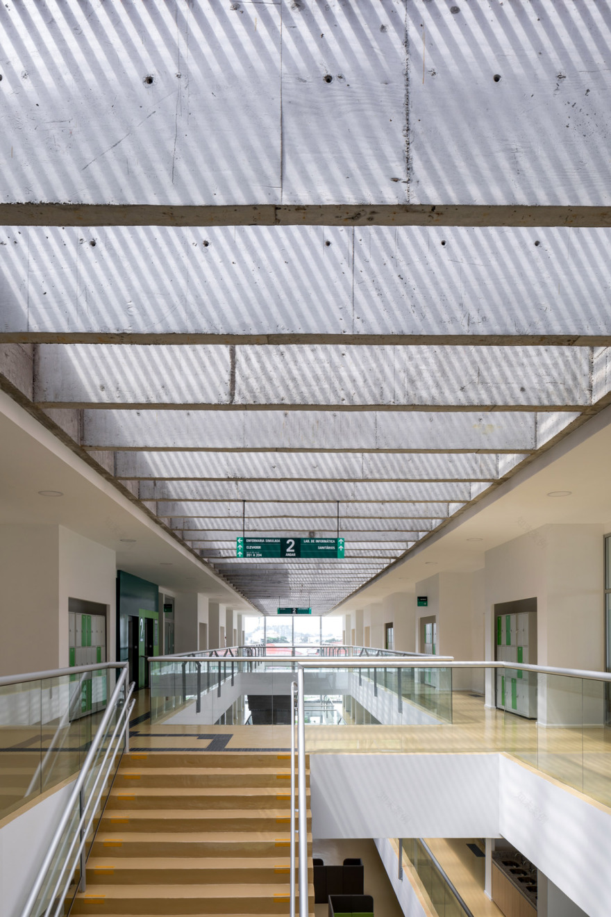 巴西两校区建筑,优雅强烈特质融入自然环境-42