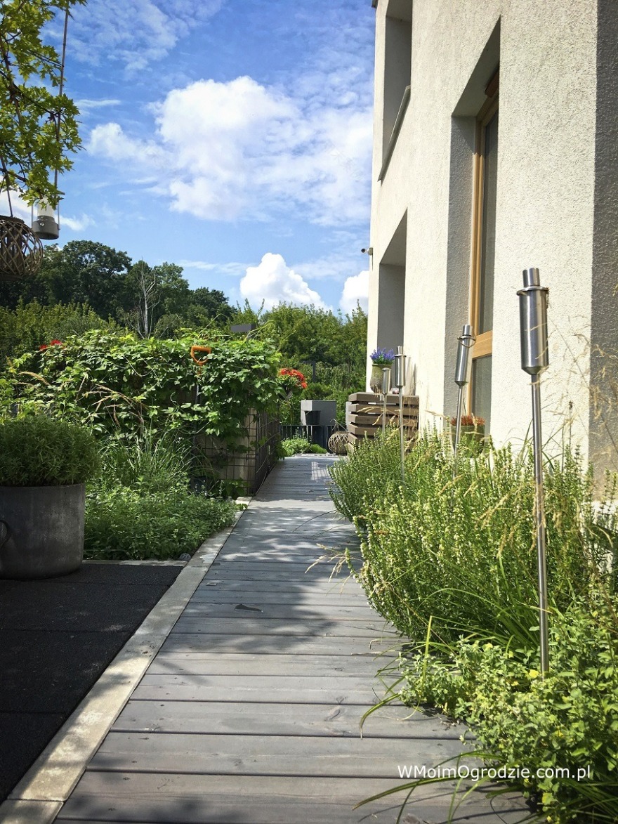 华沙沃拉区的小型屋顶花园-8