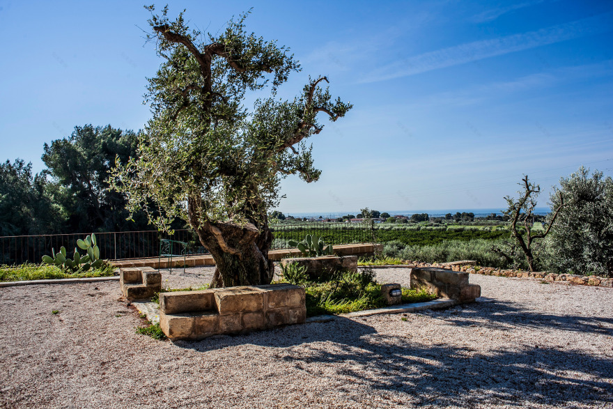 乡间别墅的重生 · 融合传统与当代的意大利风情-52