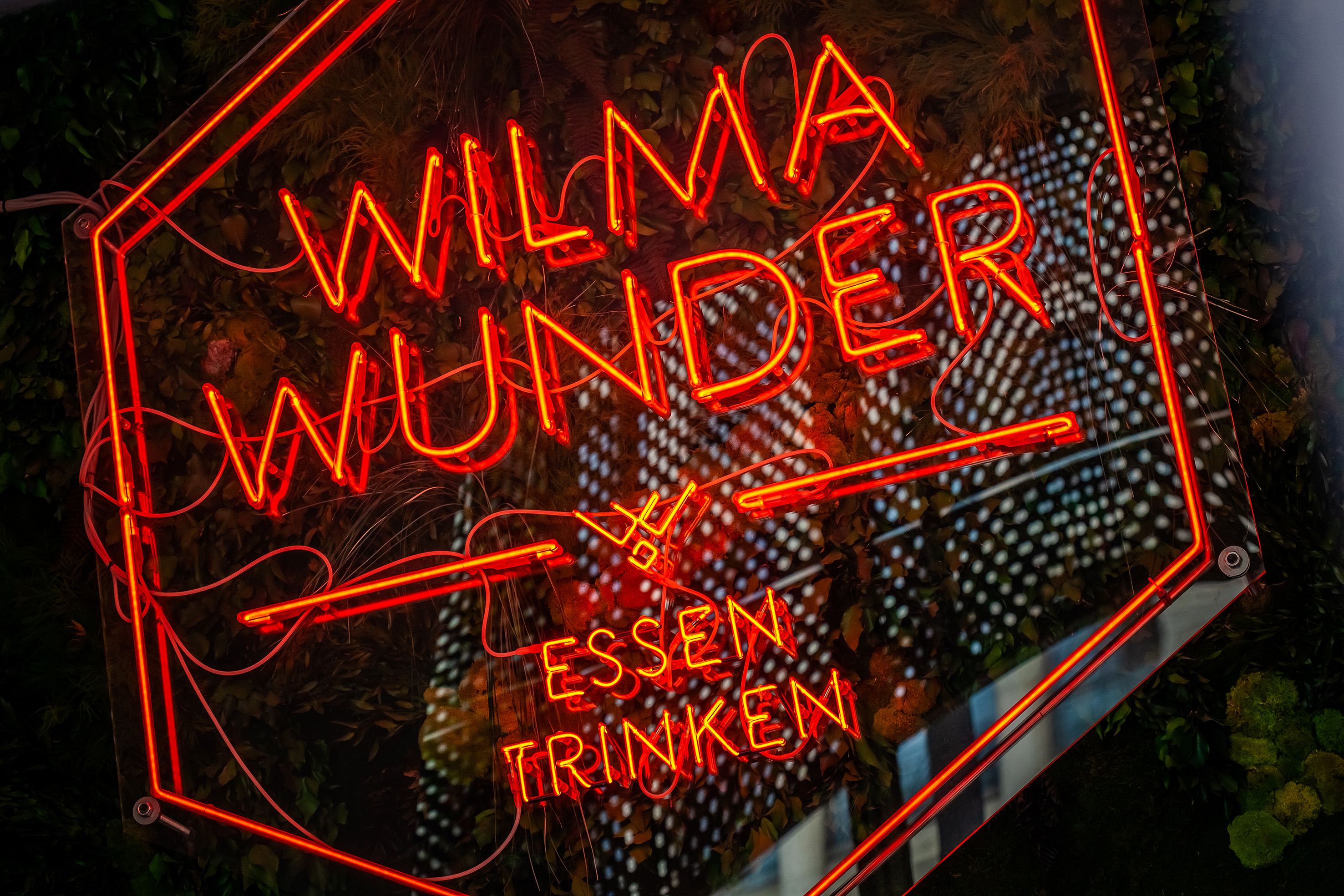 Wilma Wunder 酒吧-34