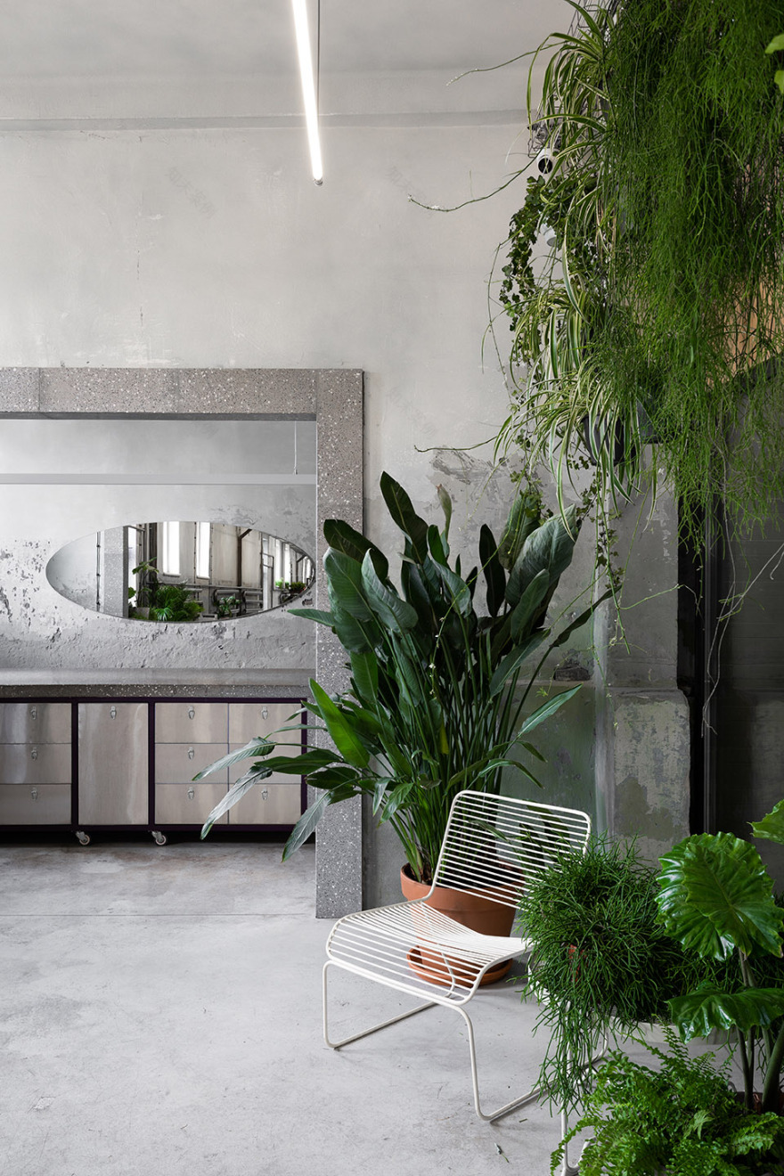 乌克兰 Dicentra 鲜花批发商店-8