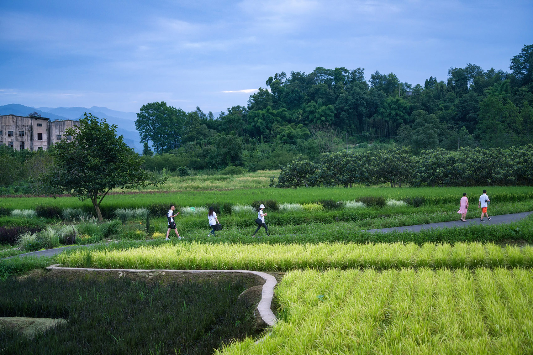 峨眉·高桥小镇，四川/植根大地的恋歌-48