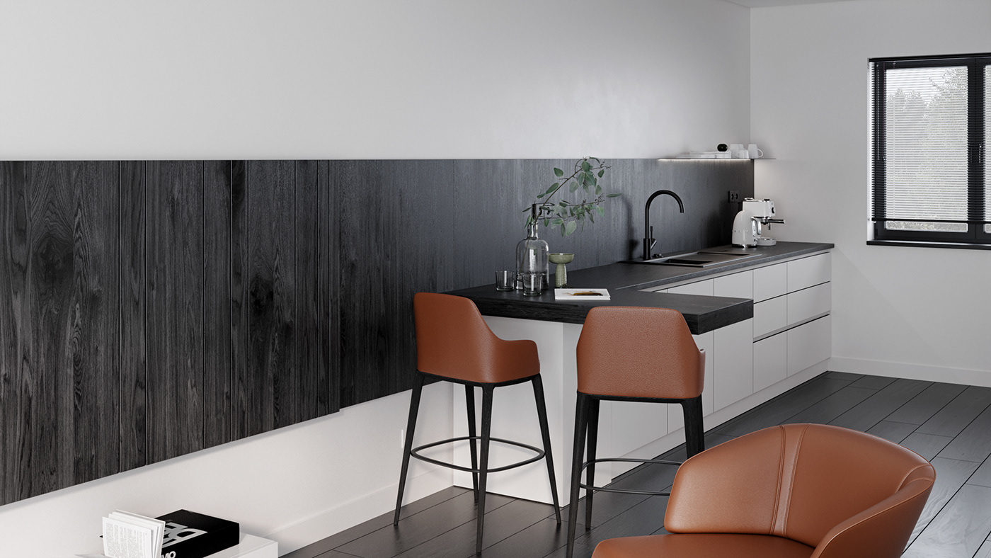 House in Amsterdam-1