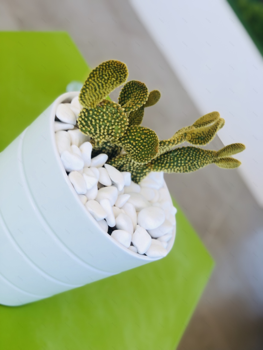 意大利海滨别墅的现代魅力-42