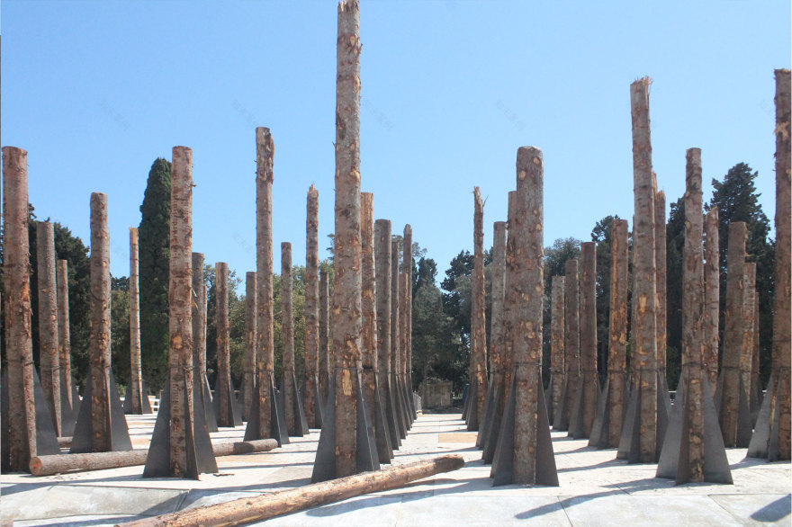 风之殇 · 死林的舞台艺术-3