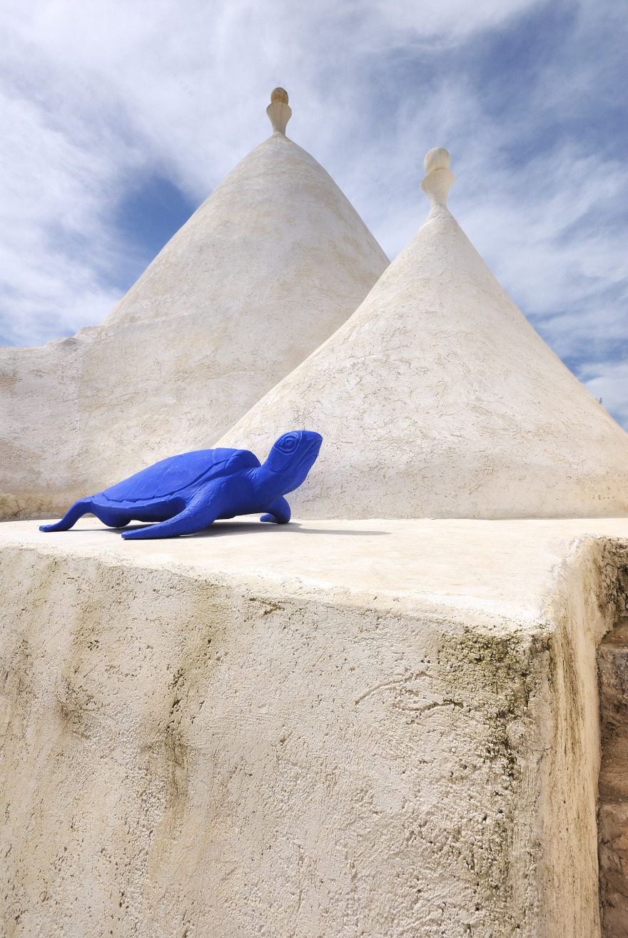 意大利乡村别墅,玻璃立方体与传统土屋的完美融合-31