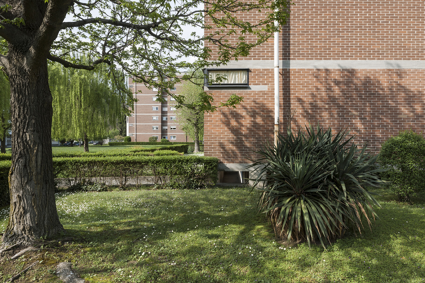 垂直社区的革新 | Ivrea 的共管塔楼-7