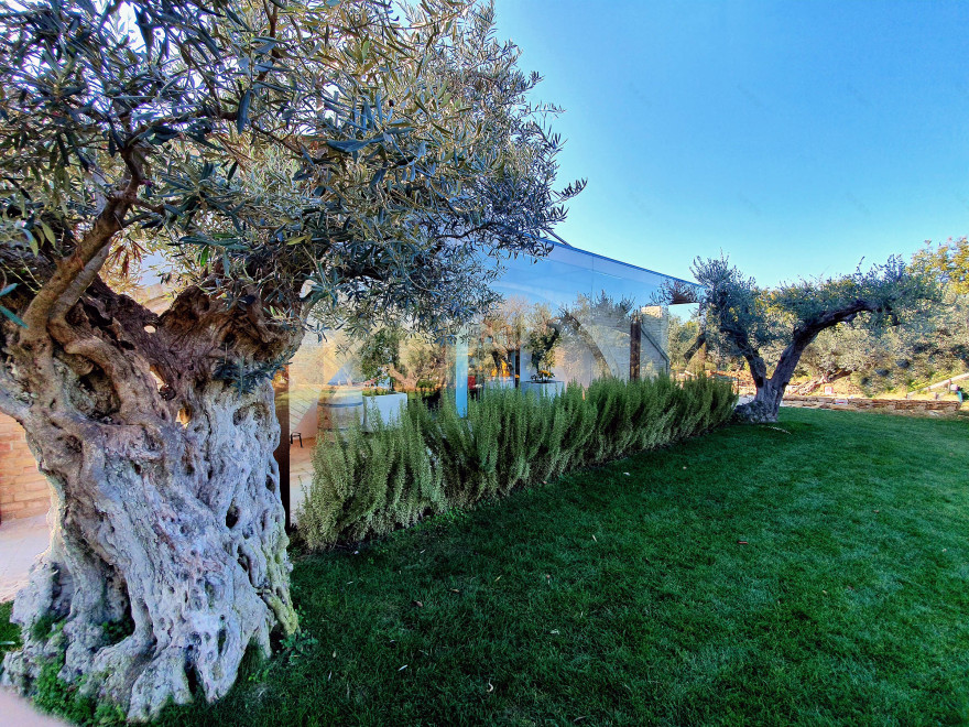 意大利 L'ALBERO E IL CIELO 生态餐厅-8