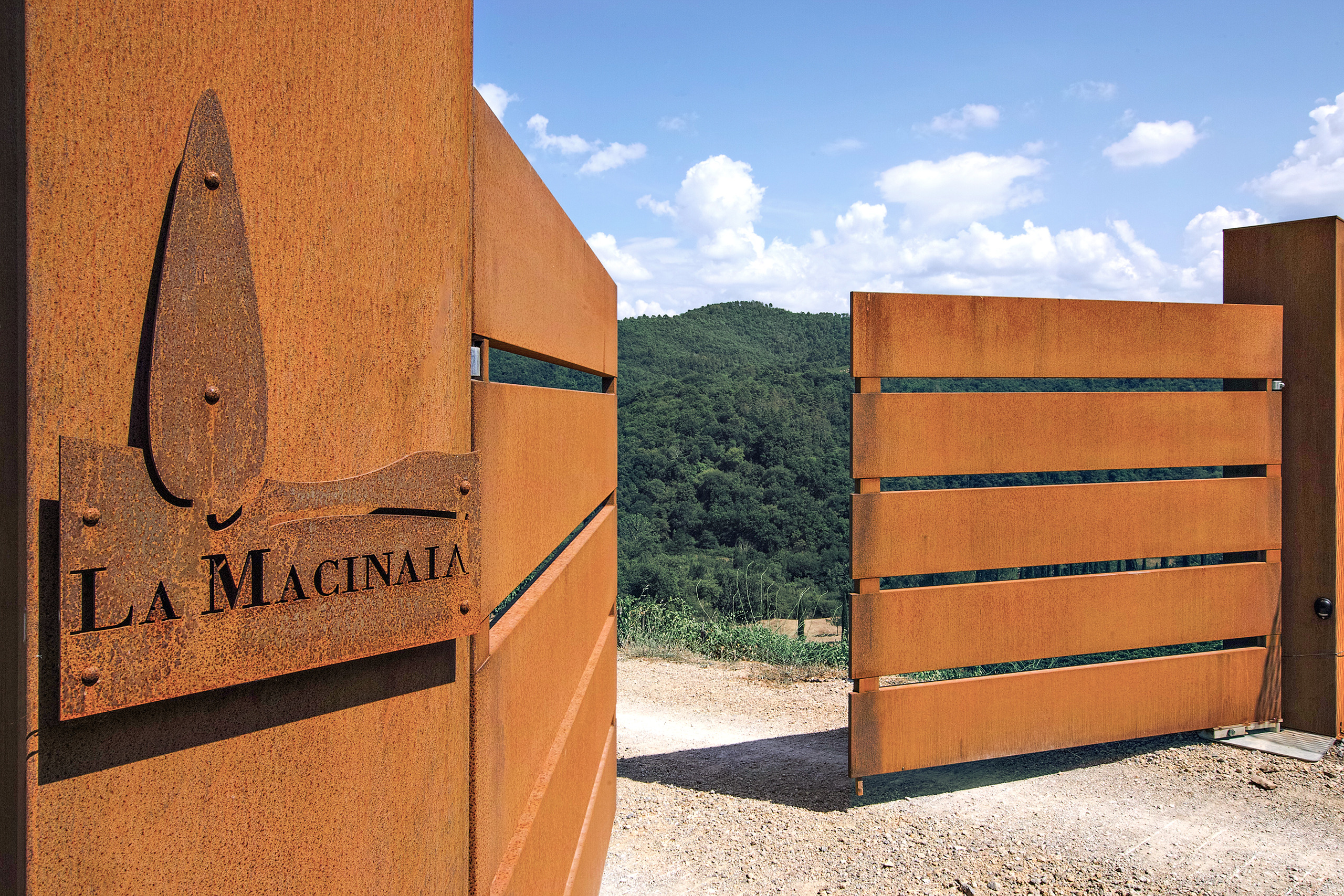 融入田间的酒庄 Cantina dell'azienda La Macinaia-16