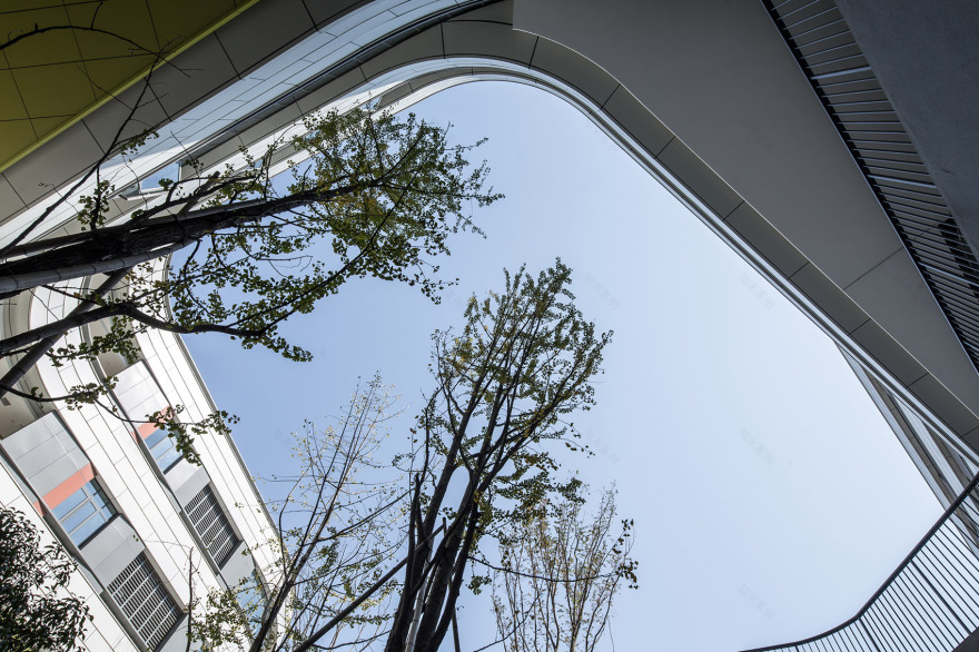 浙江大学教育学院附属中学-3