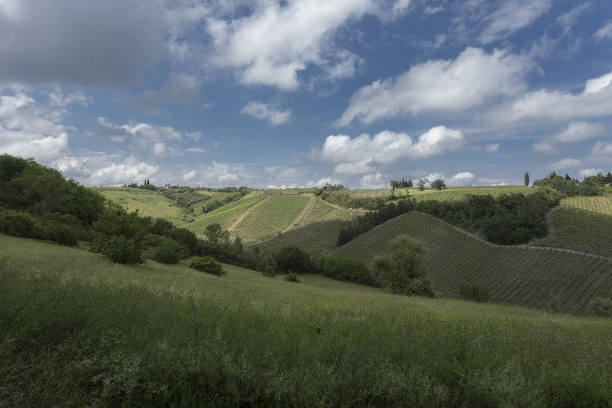意大利乡村 18 世纪老宅翻新记-36