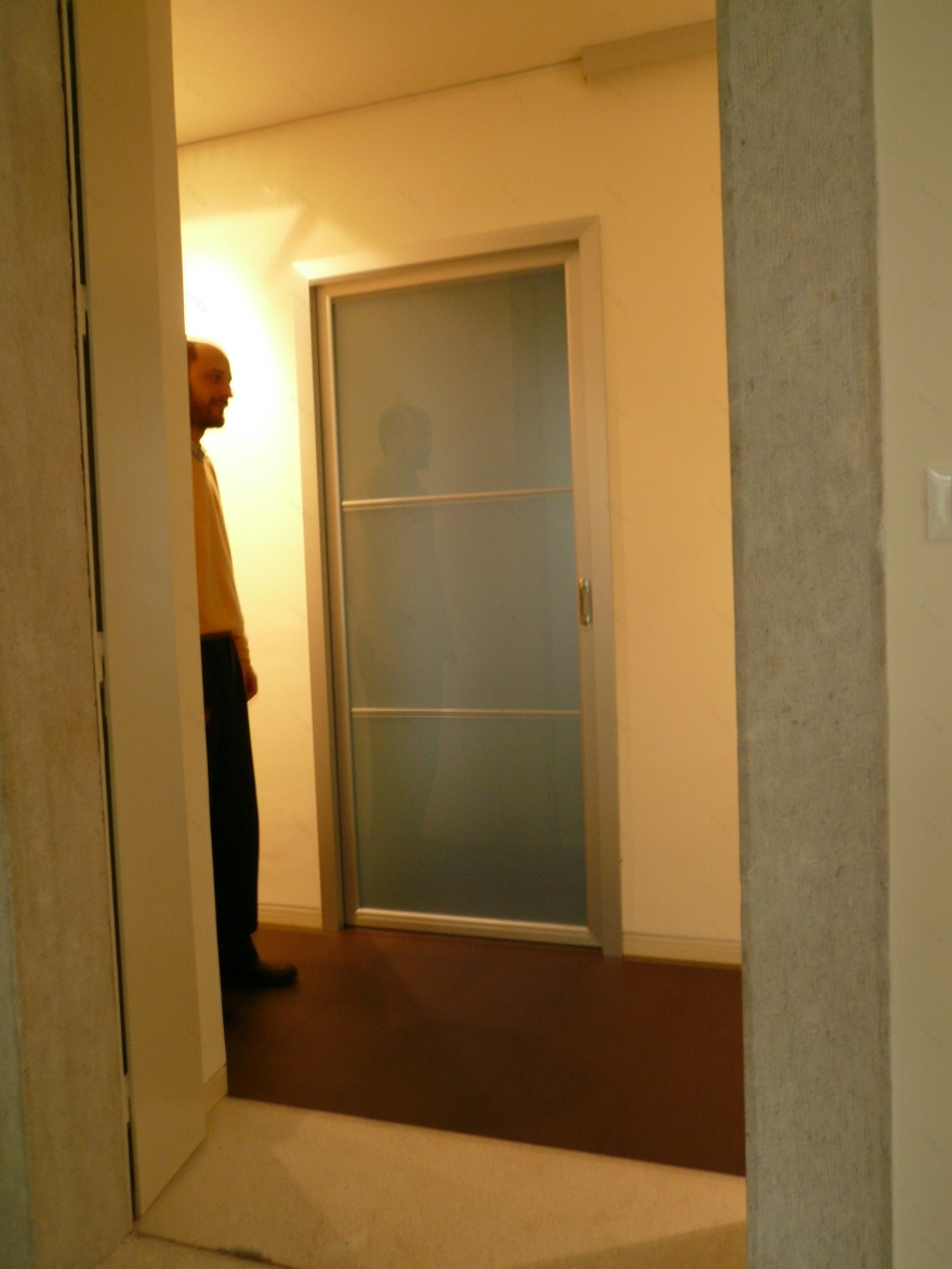 树影婆娑的城市绿洲——Casa S.别墅设计-11