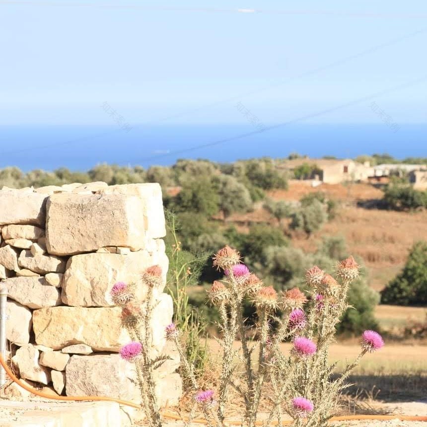 意大利乡村别墅“Rifugio Lanzagallo”-13