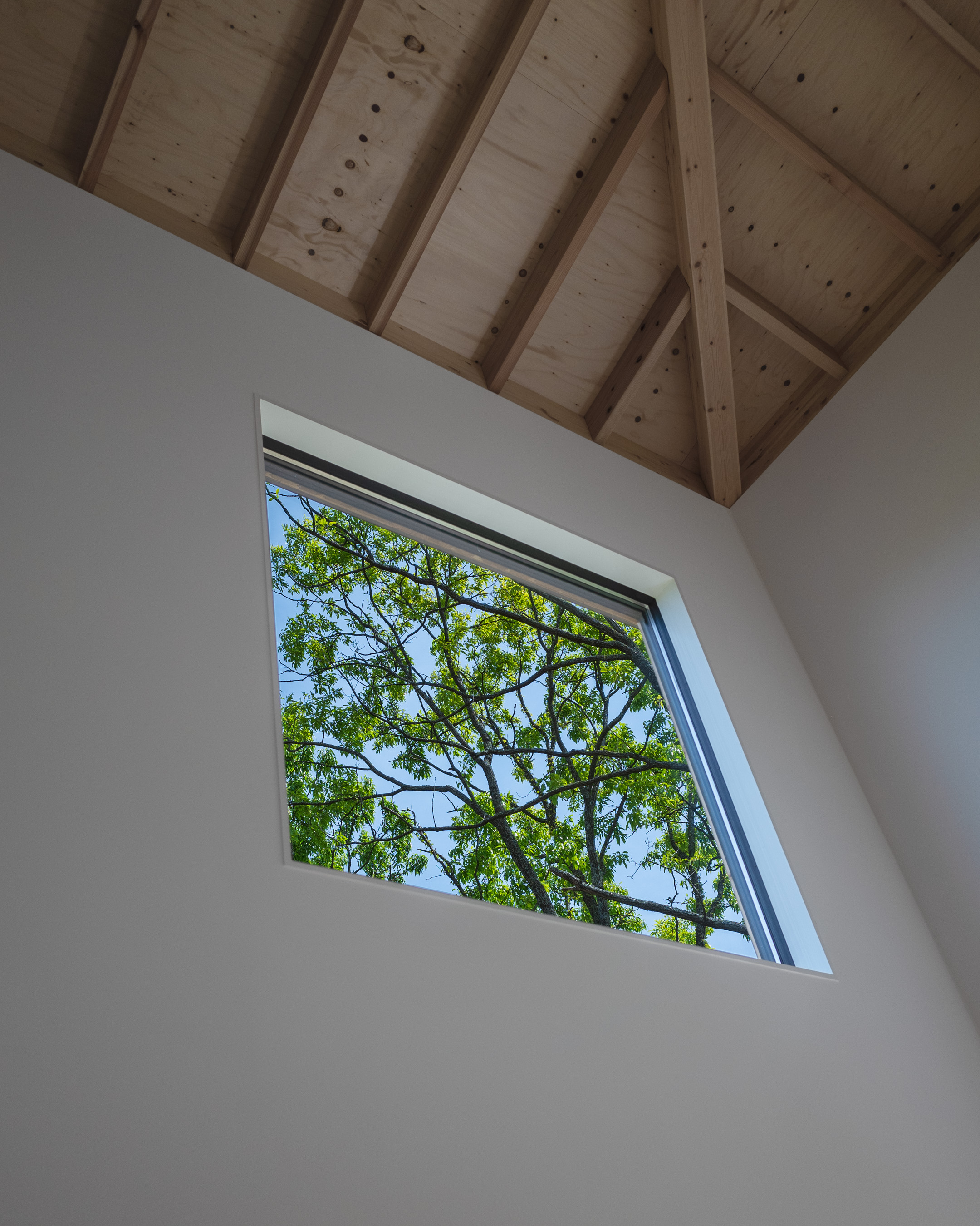 伊豆高原 I 之屋丨Florian Busch Architects-15