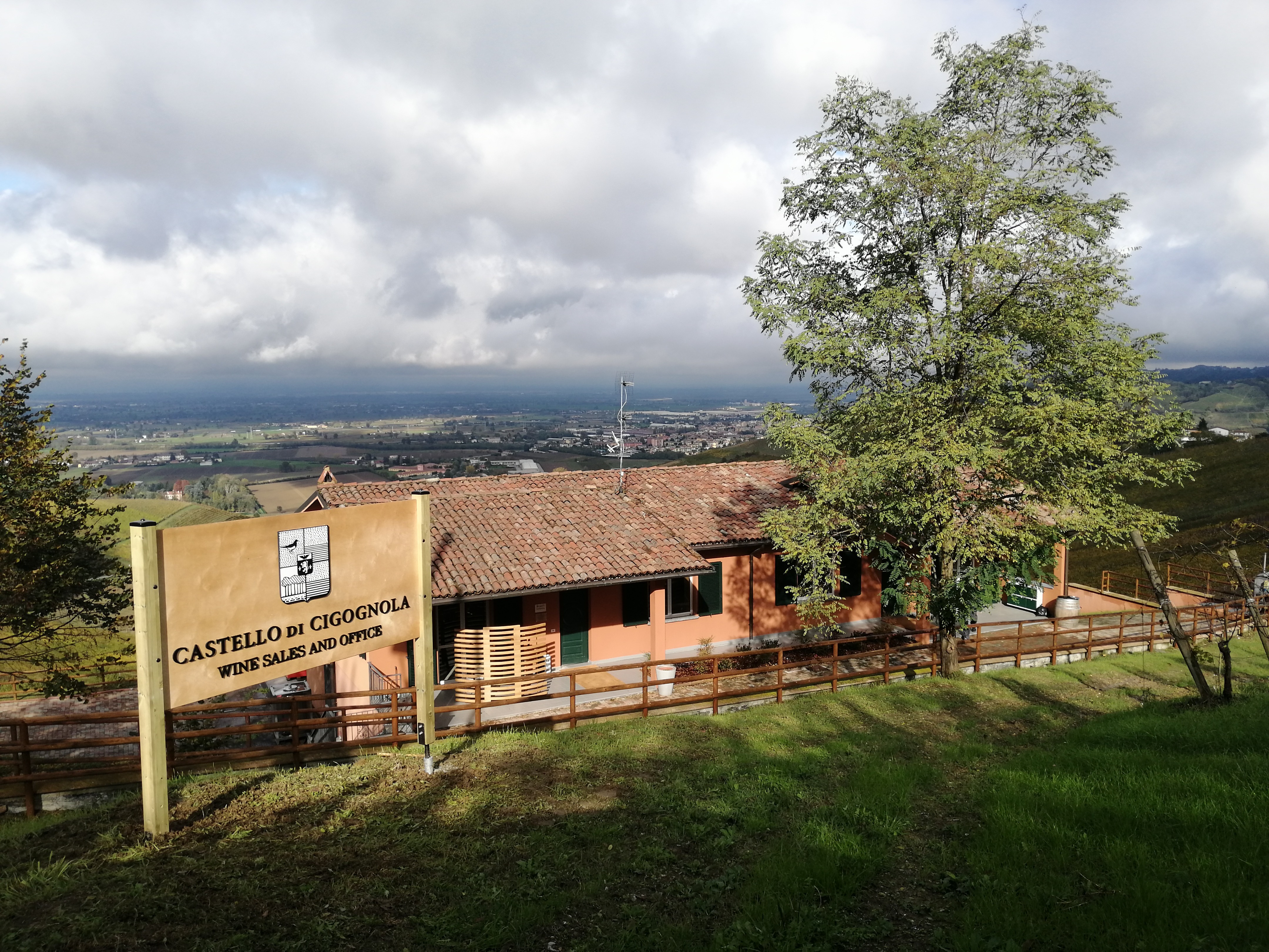 Ristrutturazione wine sales and office azienda vitivinicola-8