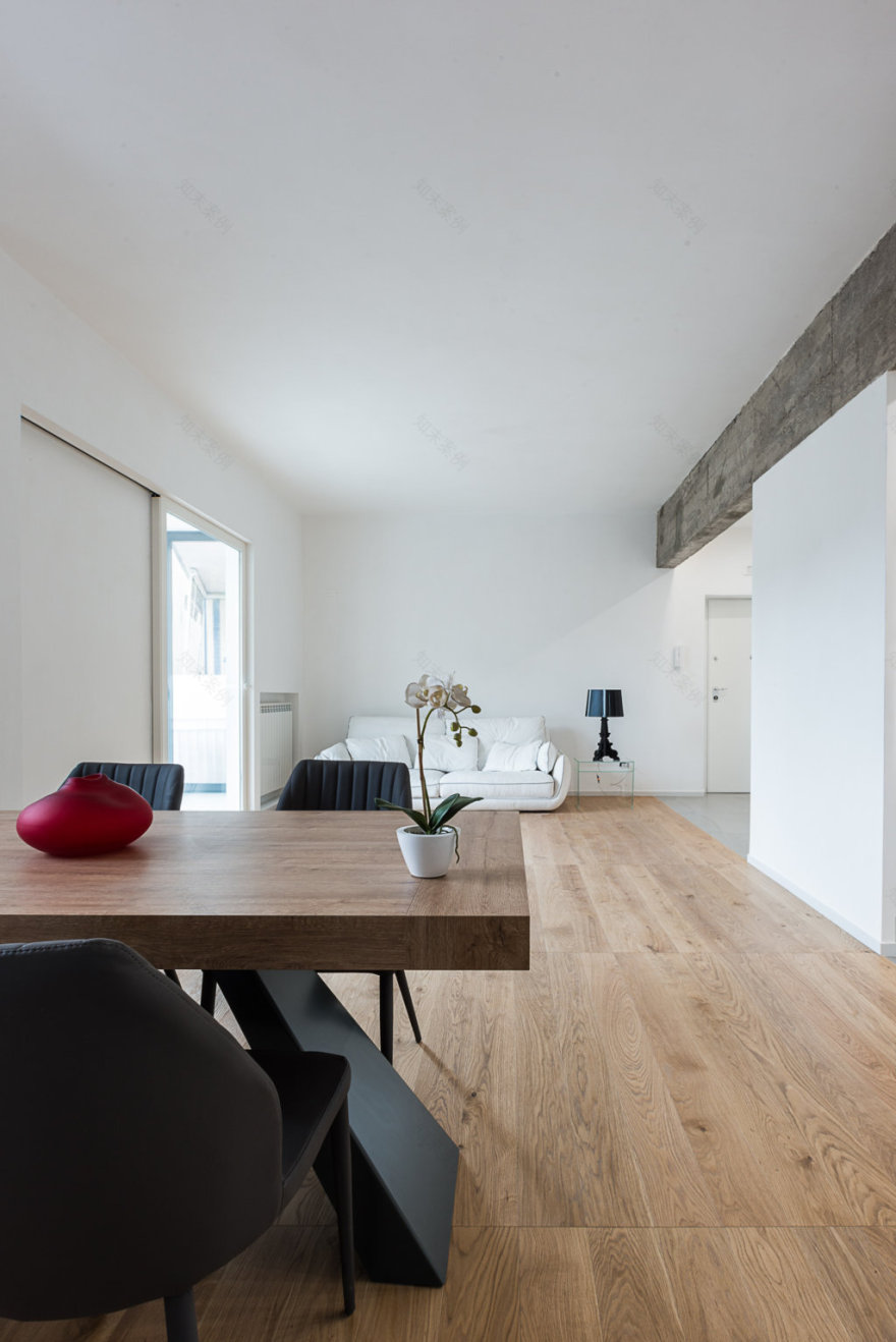 日常生活的真实之美——路易吉的加入-11