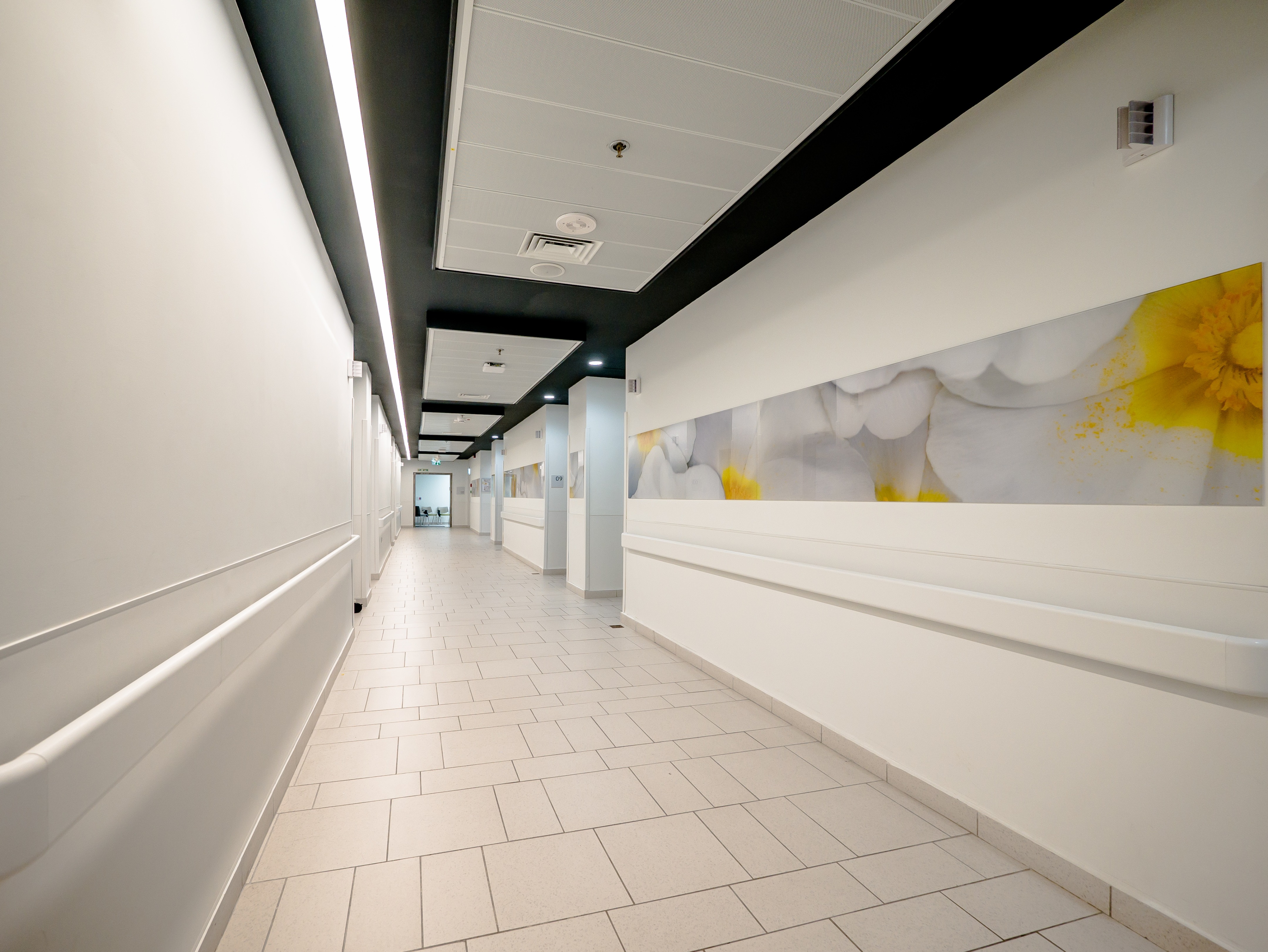 以色列阿什杜德大学医院-9