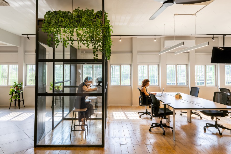 特拉维夫绿屋-0