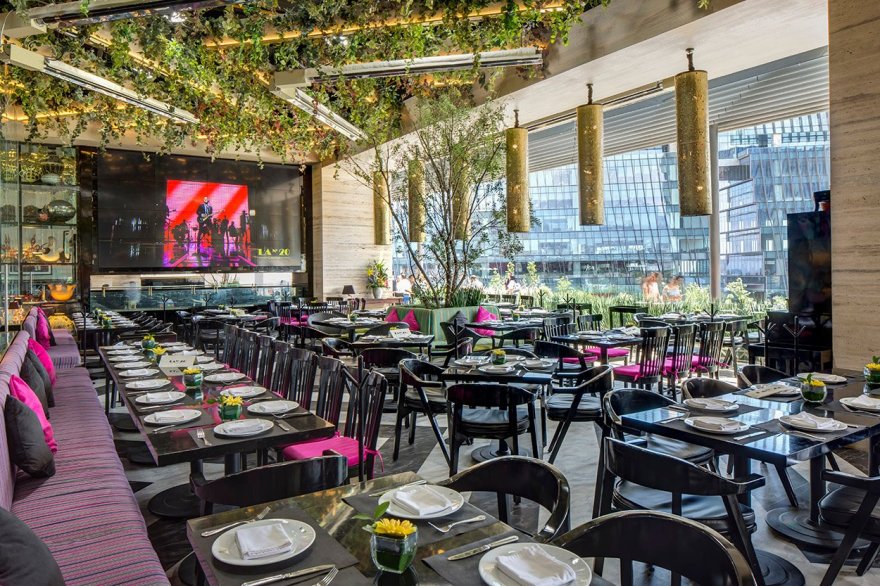 坎蒂娜·拉 20 号-0