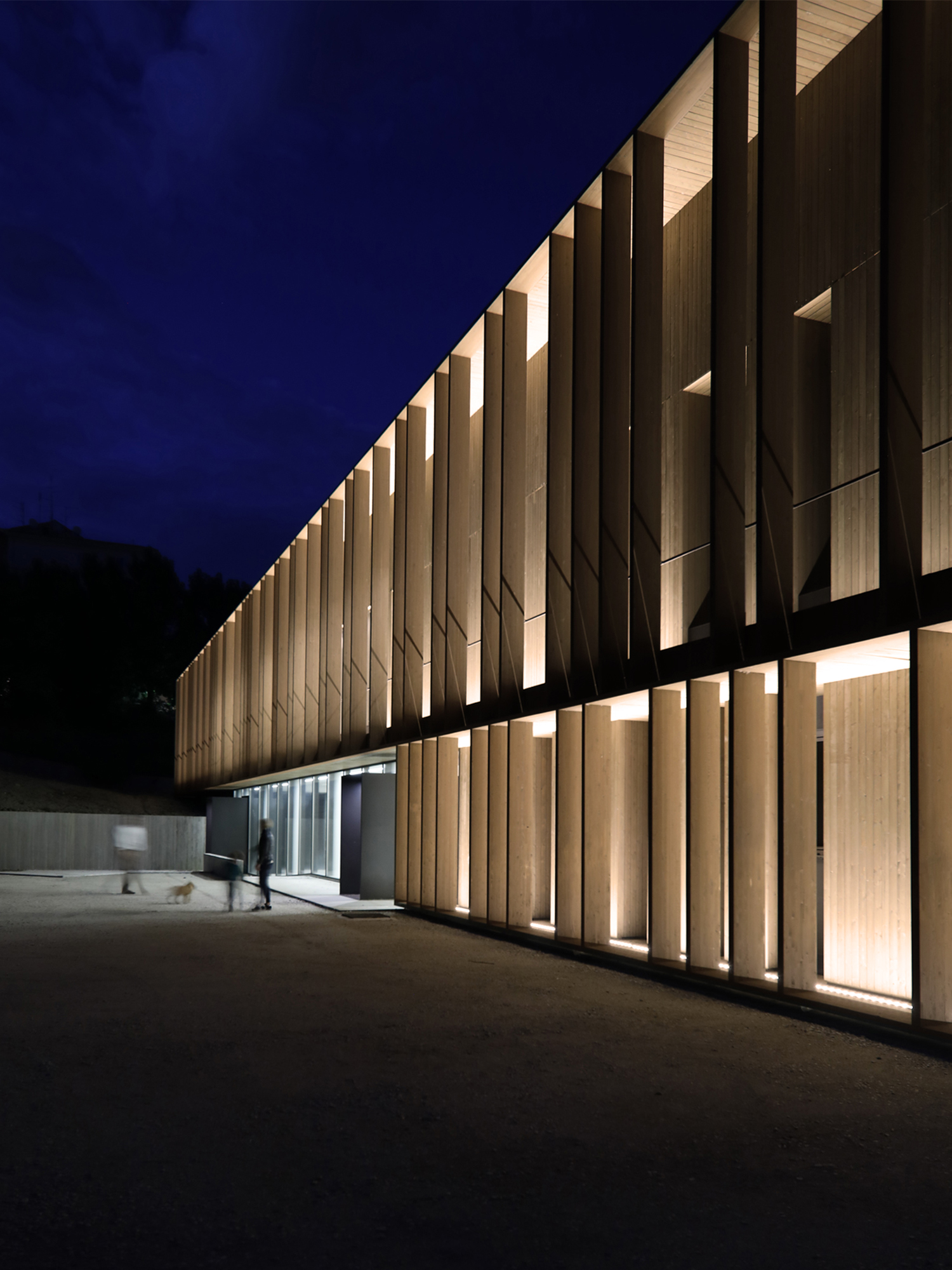 翁布里亚和马尔凯实验动物卫生研究所-24