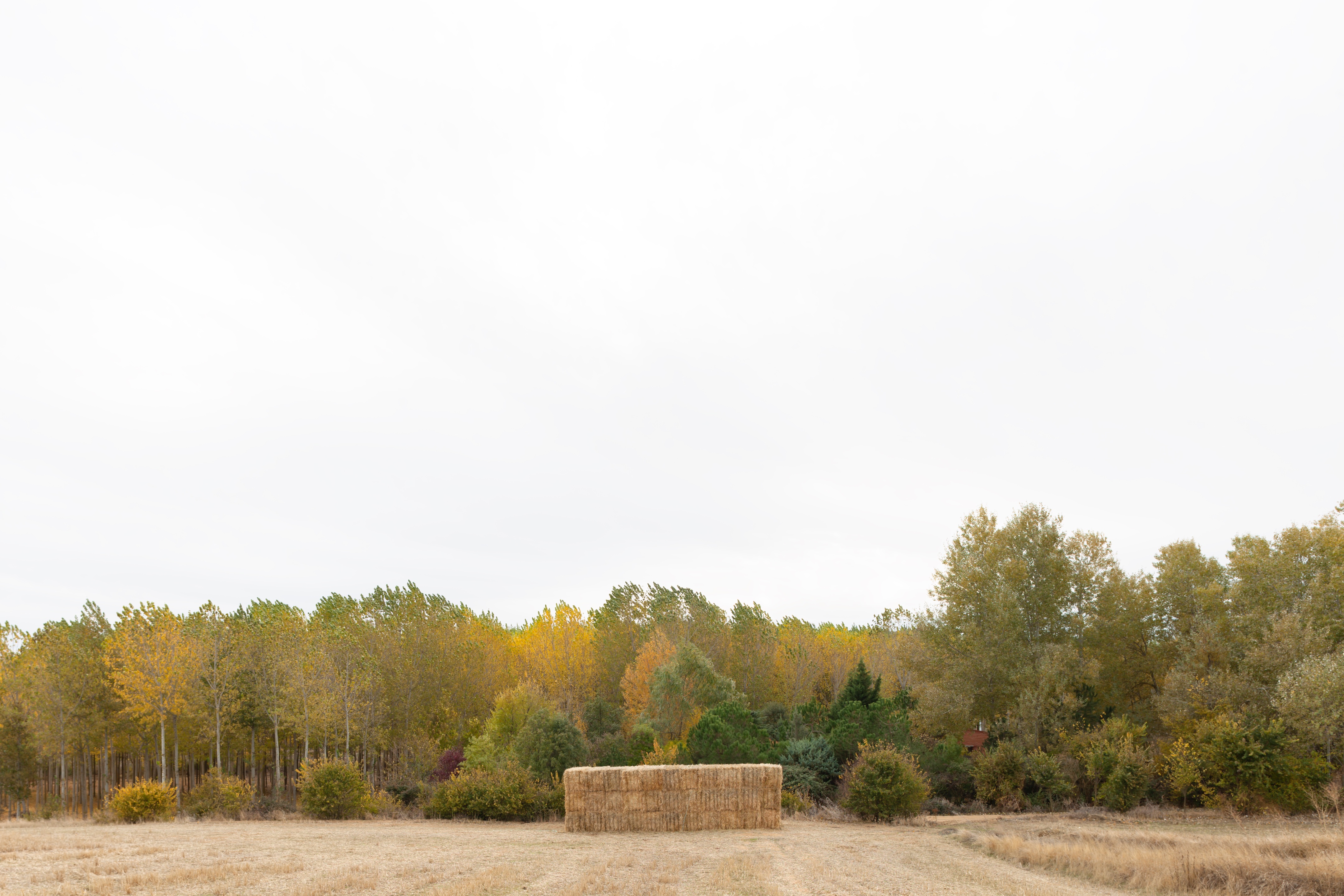 融入自然的"Doñana 小屋" | 经济实用与情感连接的共生之作-15